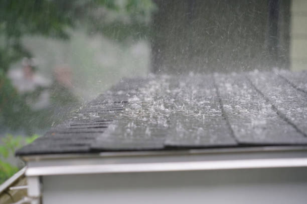 Best Roof Insulation Installation  in Seneca, SC