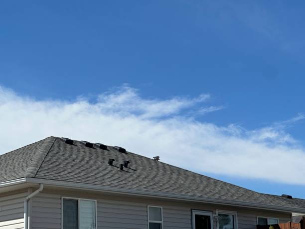 Best Skylights  in Seneca, SC